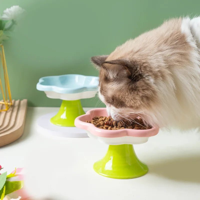 Ceramic Raised Cat Bowl With Flower Design, Elevated Cat Food Bowl